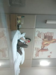 老利探花新人老哥约了个肉肉少妇，性感黑丝大屁股，跳蛋自慰一番口交舔屌，抬起双腿抽插猛操