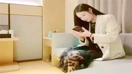 文轩探花约了个性感黑裙大长腿妹子啪啪，舌吻互摸调情口交骑坐侧入大力猛操